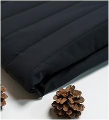 ��ǰ ������