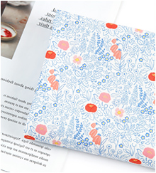 ��ǰ�̹���